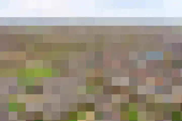 Halve Morgen 119 Westervoort thumbnail 59