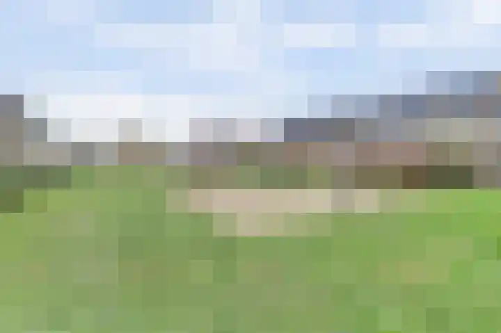 Halve Morgen 119 Westervoort thumbnail 6
