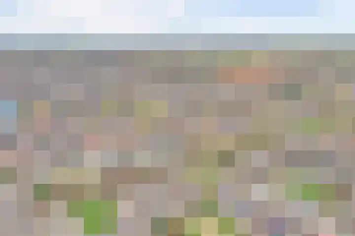 Halve Morgen 119 Westervoort thumbnail 60