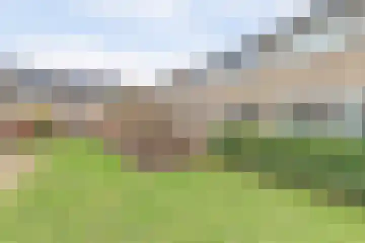 Halve Morgen 119 Westervoort thumbnail 8