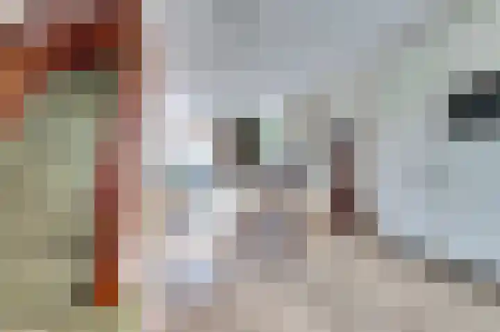 Halve Morgen 119 Westervoort thumbnail 9