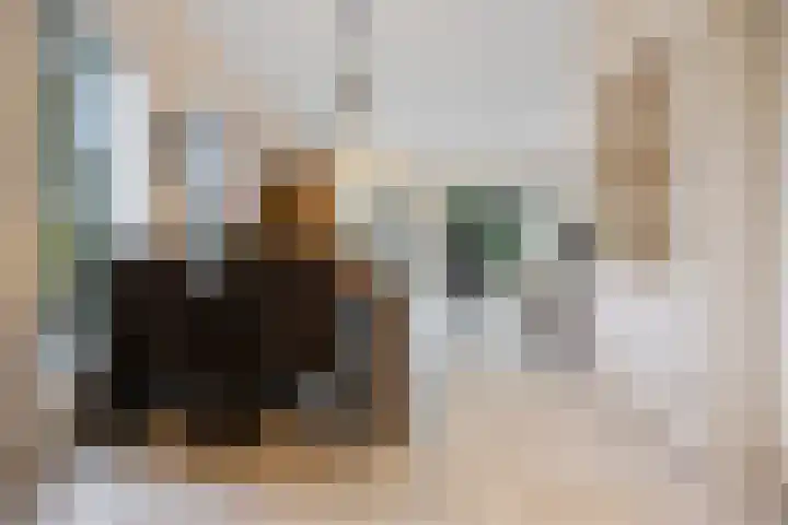 Halve Morgen 34 Westervoort thumbnail 10