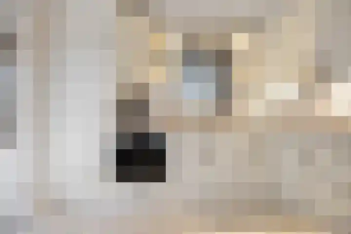 Halve Morgen 34 Westervoort thumbnail 11