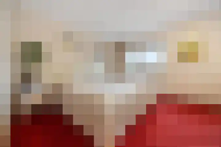 Halve Morgen 34 Westervoort thumbnail 22