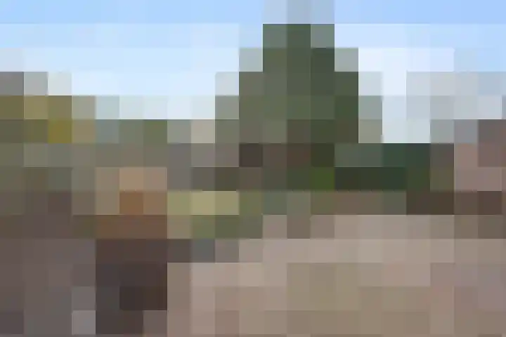 Halve Morgen 34 Westervoort thumbnail 35