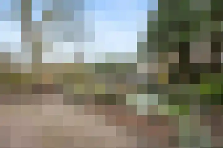 Halve Morgen 34 Westervoort thumbnail 37
