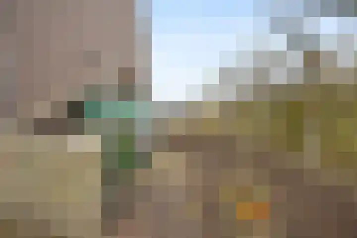 Halve Morgen 34 Westervoort thumbnail 39