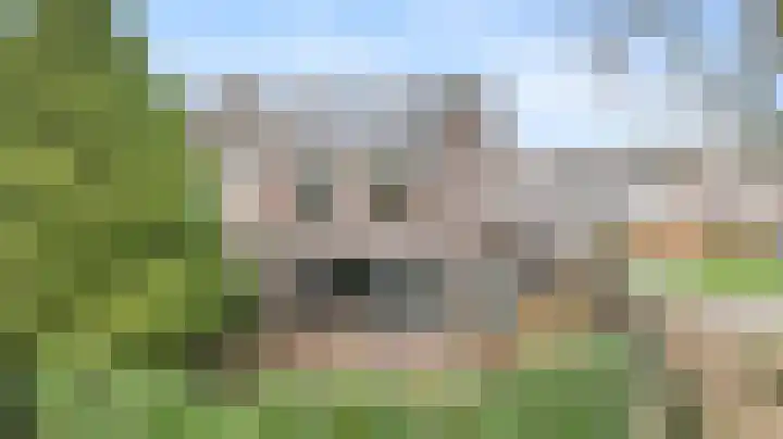 Halve Morgen 34 Westervoort thumbnail 42