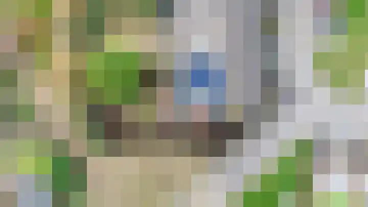 Halve Morgen 34 Westervoort thumbnail 43