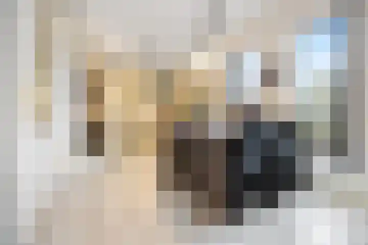 Halve Morgen 34 Westervoort thumbnail 8