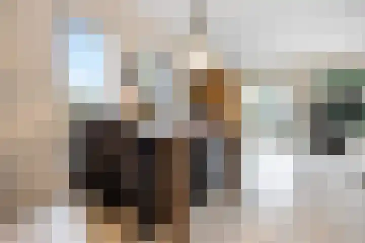 Halve Morgen 34 Westervoort thumbnail 9