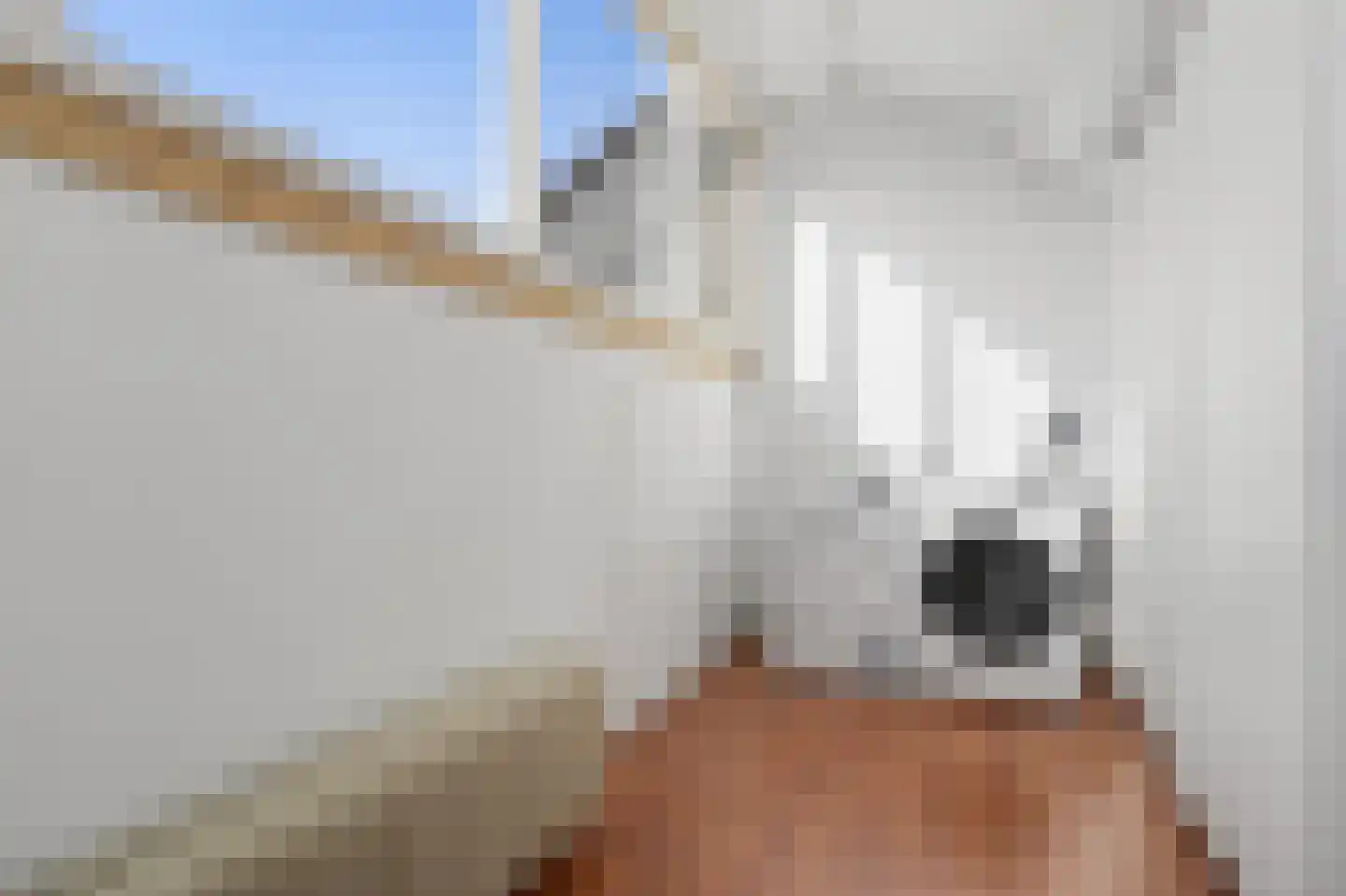 Halve Morgen 49 Westervoort thumbnail 21