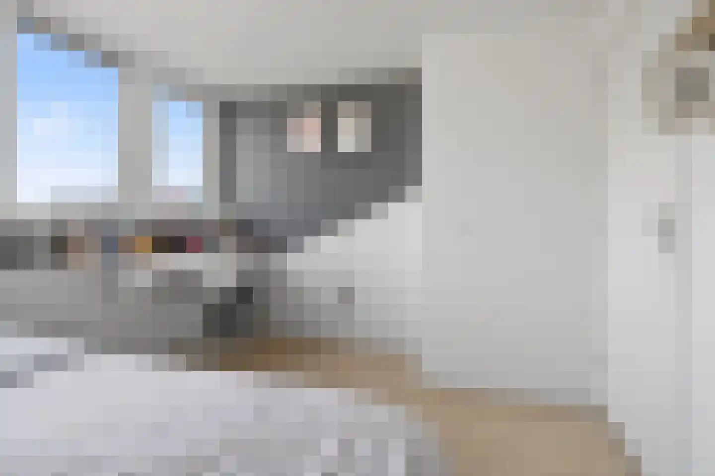 Halve Morgen 49 Westervoort thumbnail 23