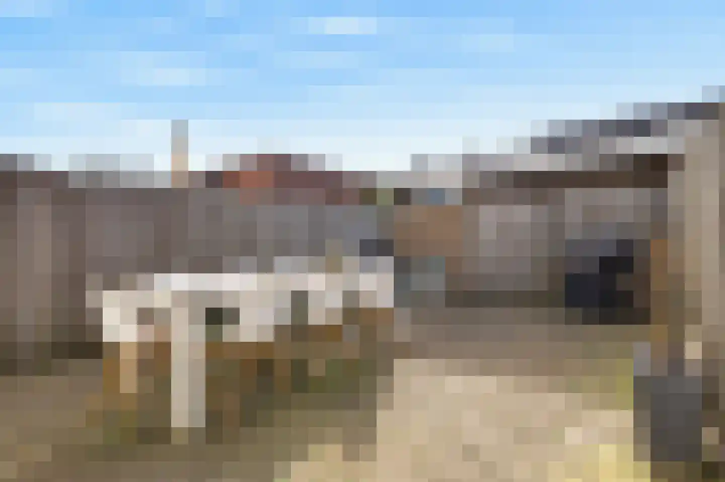 Halve Morgen 49 Westervoort thumbnail 25