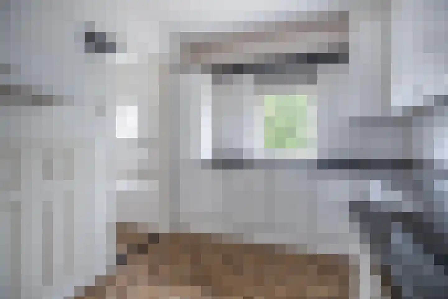 Halve Morgen 5 a Elst thumbnail 17