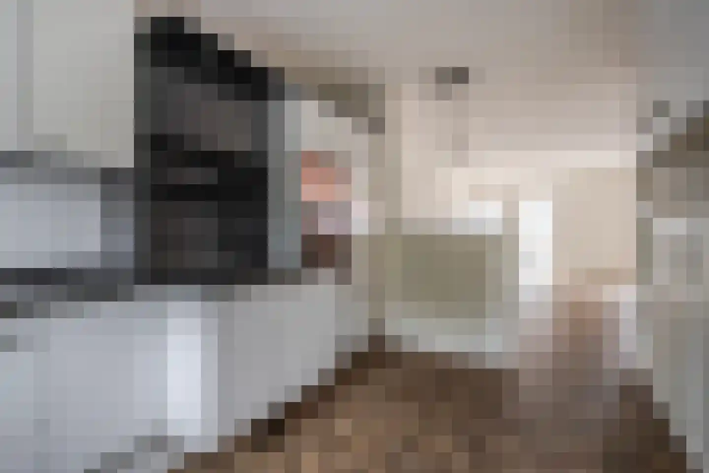 Halve Morgen 5 a Elst thumbnail 18