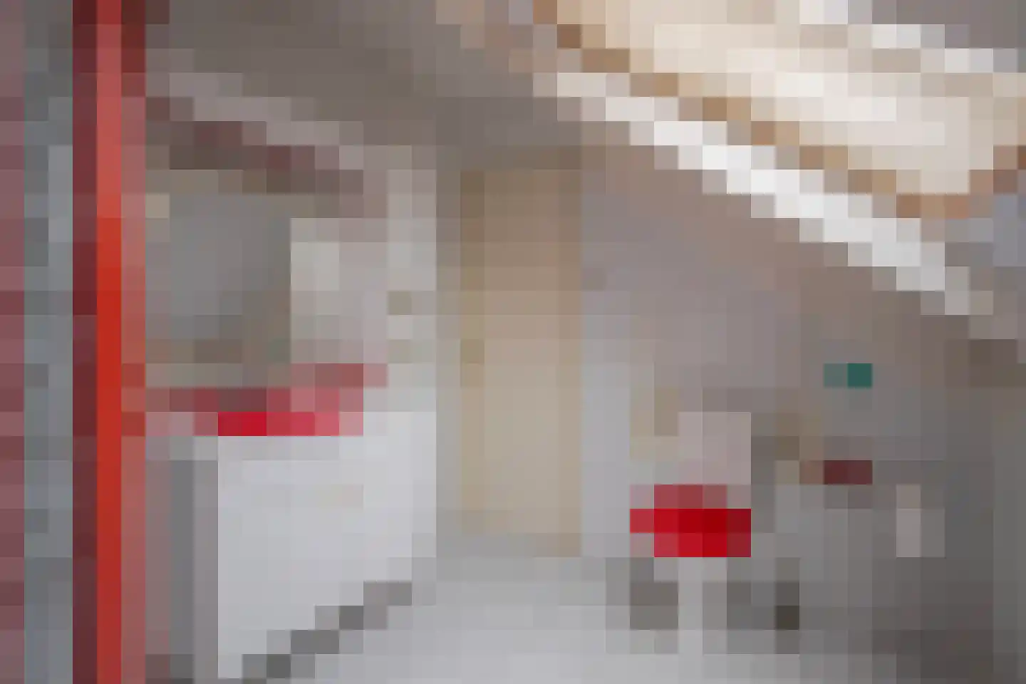 Halve Morgen 5 a Elst thumbnail 27