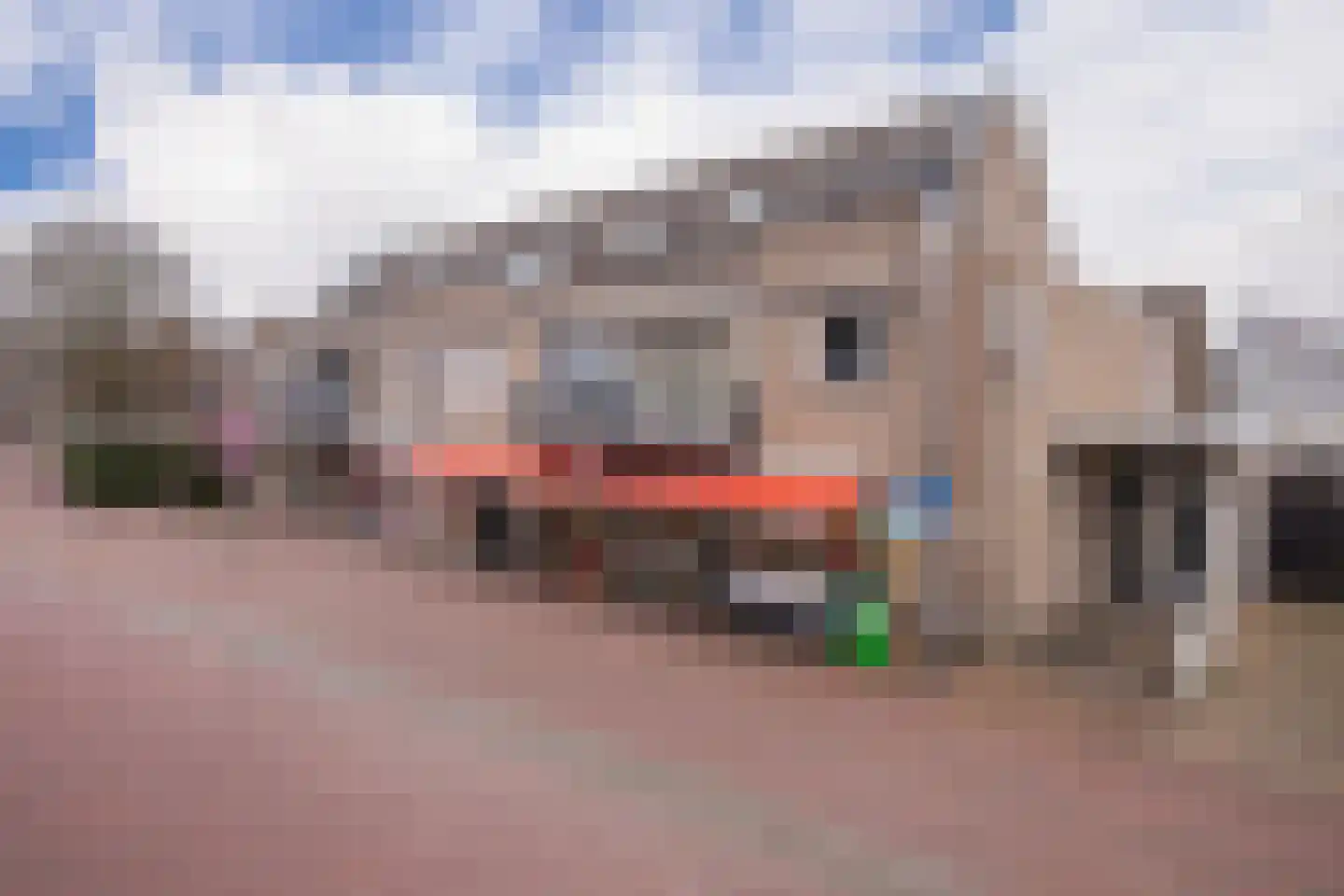 Halve Morgen 5 a Elst thumbnail 4