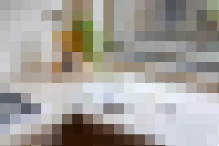 Halve Morgen 63 Westervoort thumbnail 15