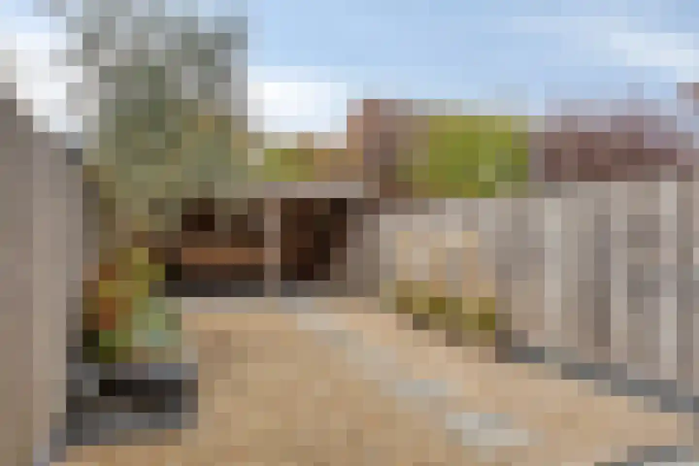 Halve Morgen 63 Westervoort thumbnail 17