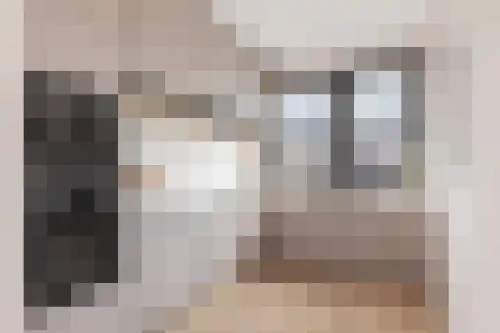 Halve Morgen 63 Westervoort thumbnail 22