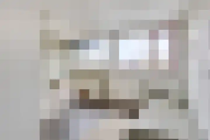 Halve Morgen 63 Westervoort thumbnail 32