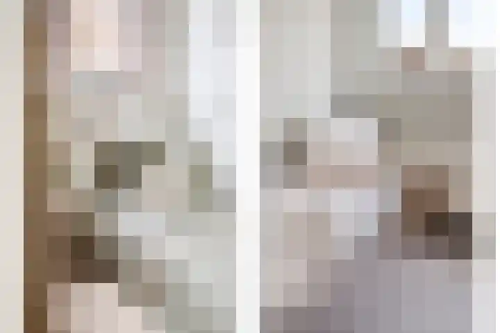 Halve Morgen 63 Westervoort thumbnail 35