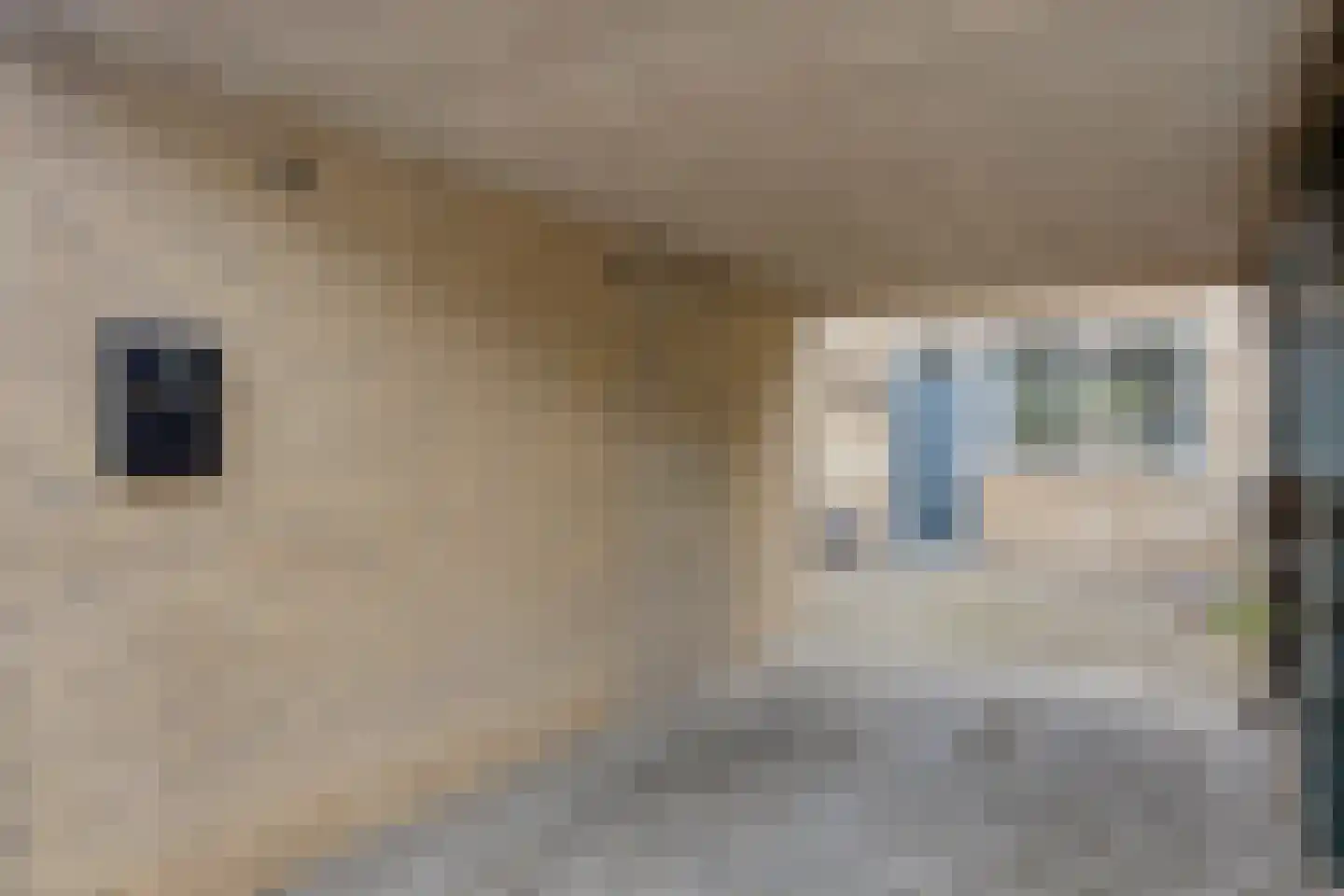 Halve Morgen 63 Westervoort thumbnail 40