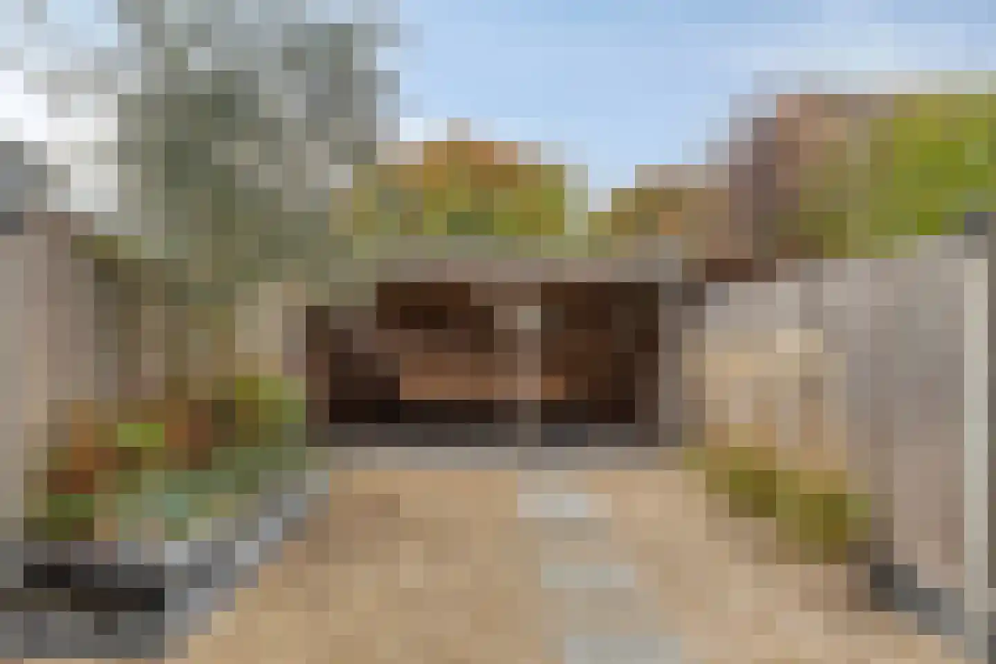 Halve Morgen 63 Westervoort thumbnail 42