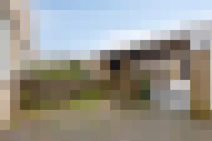 Halve Morgen 63 Westervoort thumbnail 55