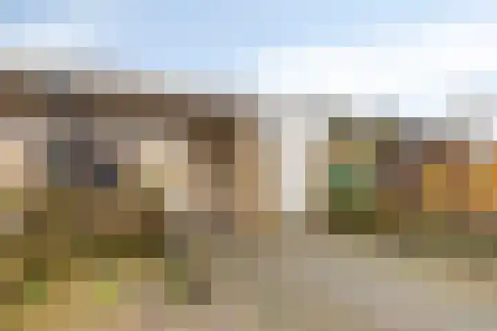 Halve Morgen 63 Westervoort thumbnail 56
