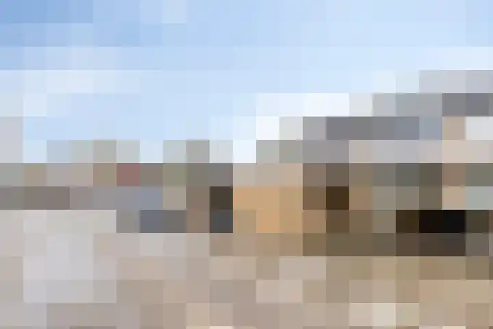 Halve Morgen 63 Westervoort thumbnail 60