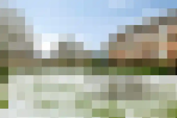 Halve Morgen 63 Westervoort thumbnail 63