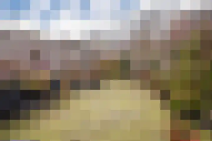 Halve Morgen 65 Westervoort thumbnail 21