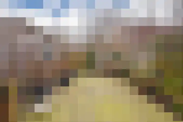 Halve Morgen 65 Westervoort thumbnail 22