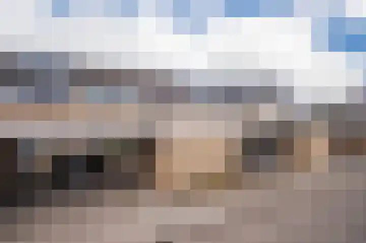 Halve Morgen 65 Westervoort thumbnail 6
