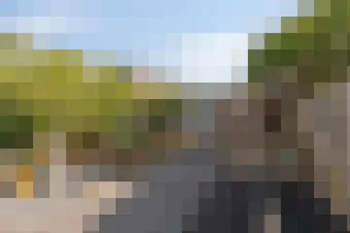 Halve Morgen 85 Westervoort thumbnail 11