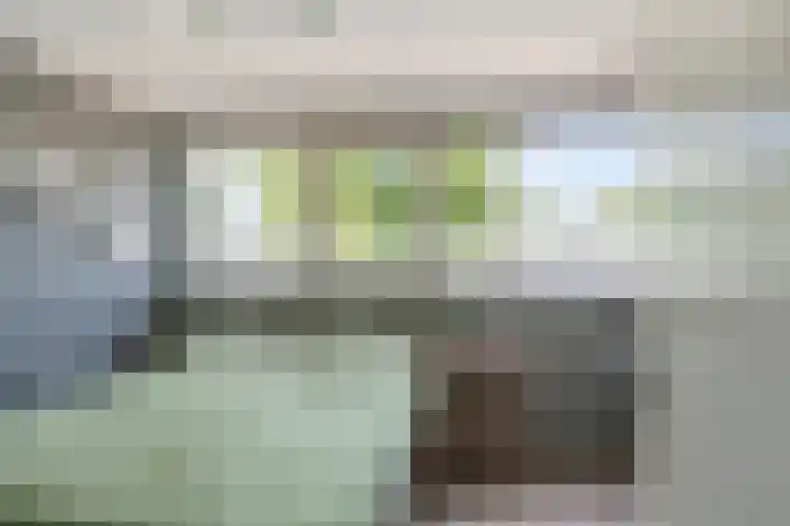 Halve Morgen 85 Westervoort thumbnail 23