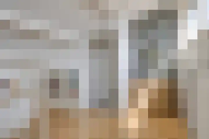 Halve Morgen 85 Westervoort thumbnail 34