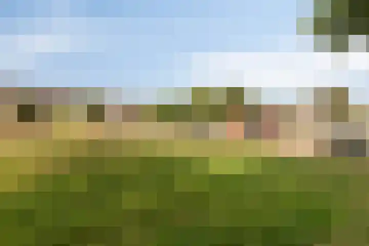 Halve Morgen 85 Westervoort thumbnail 38
