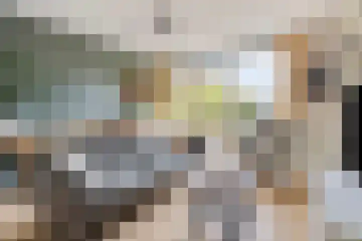 Halve Morgen 85 Westervoort thumbnail 4