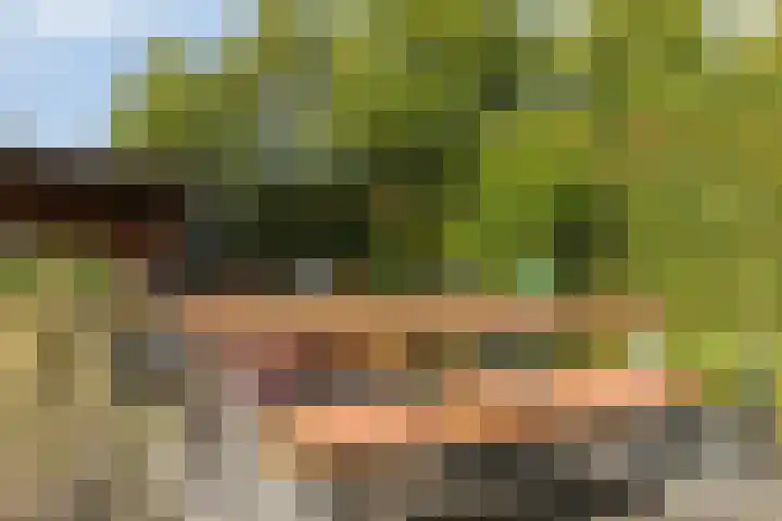Halve Morgen 85 Westervoort thumbnail 5