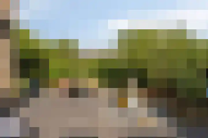 Halve Morgen 85 Westervoort thumbnail 7