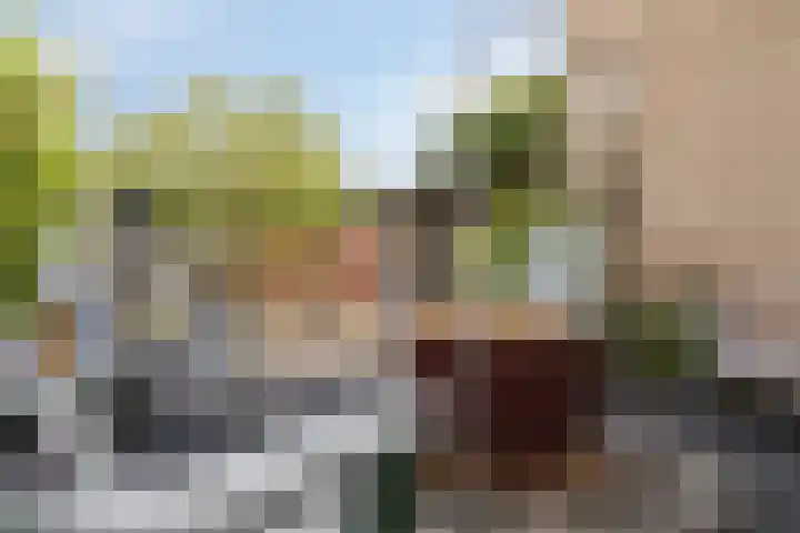 Halve Morgen 85 Westervoort thumbnail 8