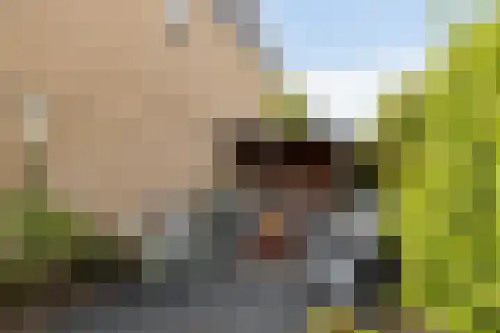 Halve Morgen 85 Westervoort thumbnail 9