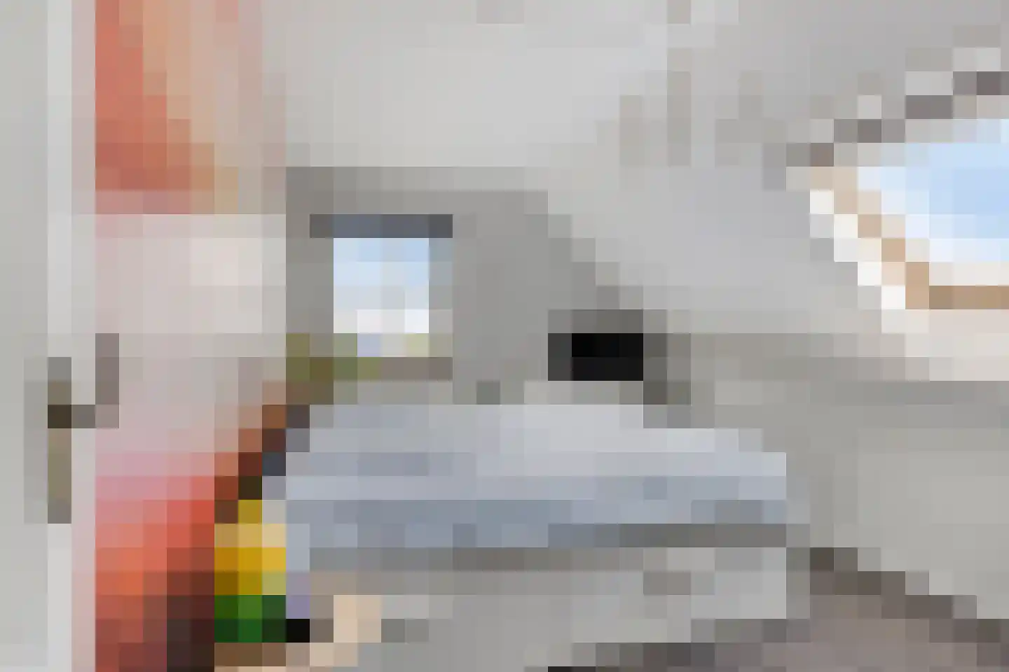 Halve Raak 35 Boskoop thumbnail 27