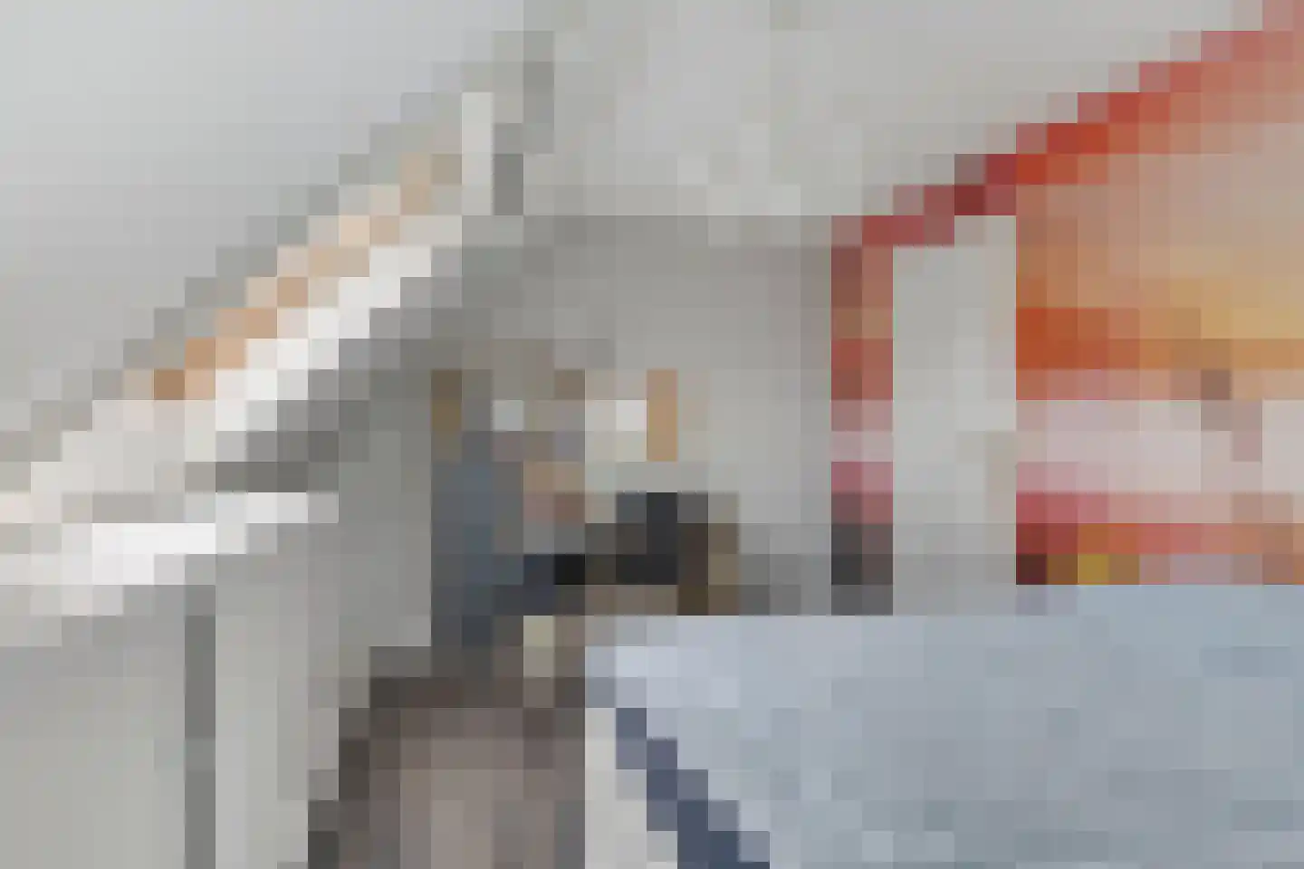 Halve Raak 35 Boskoop thumbnail 28
