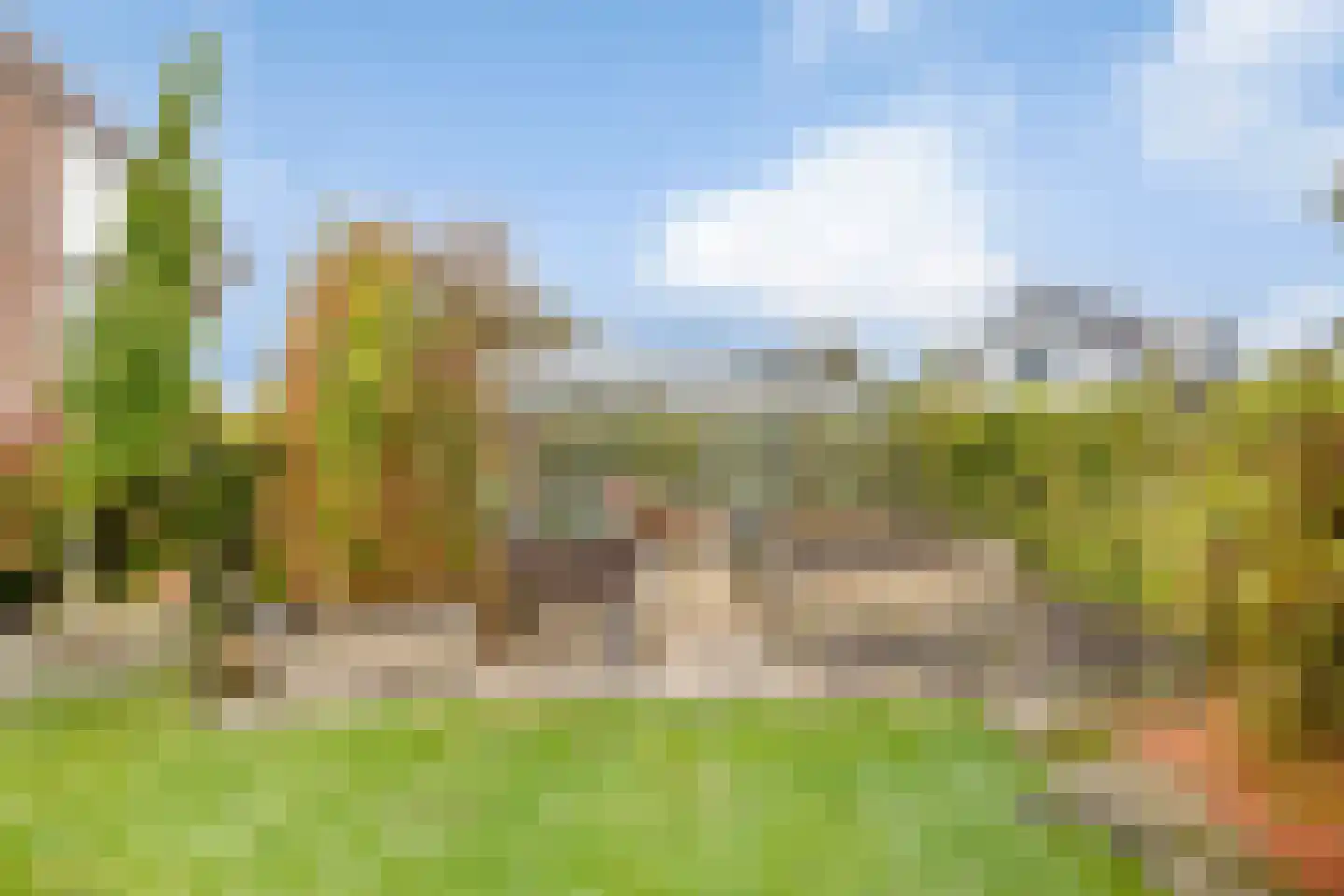 Halve Raak 35 Boskoop thumbnail 36