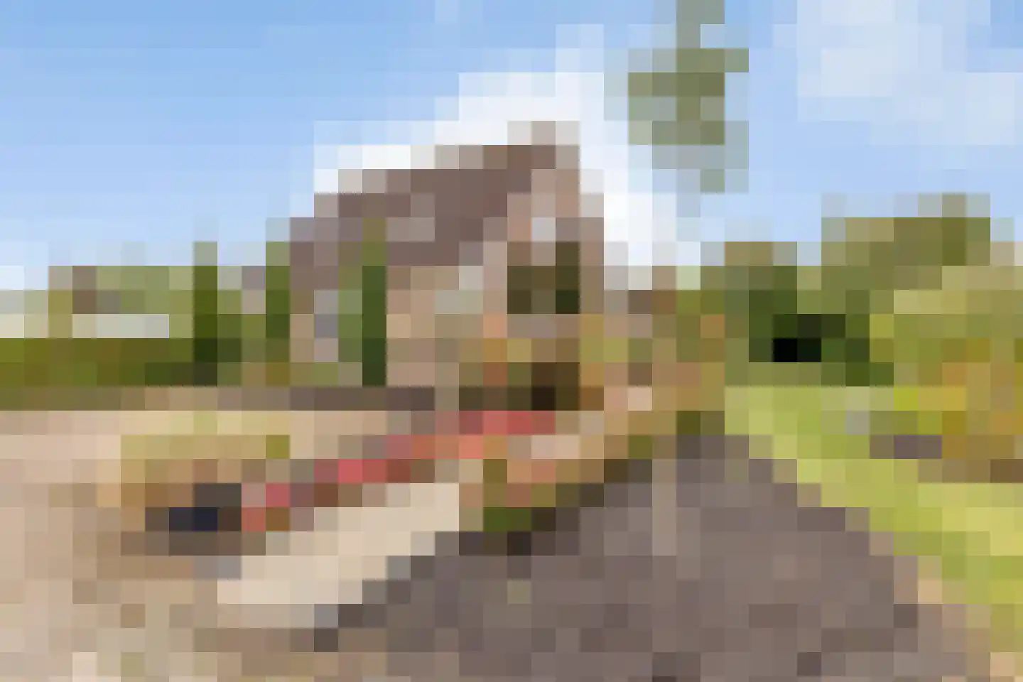 Halve Raak 35 Boskoop thumbnail 37
