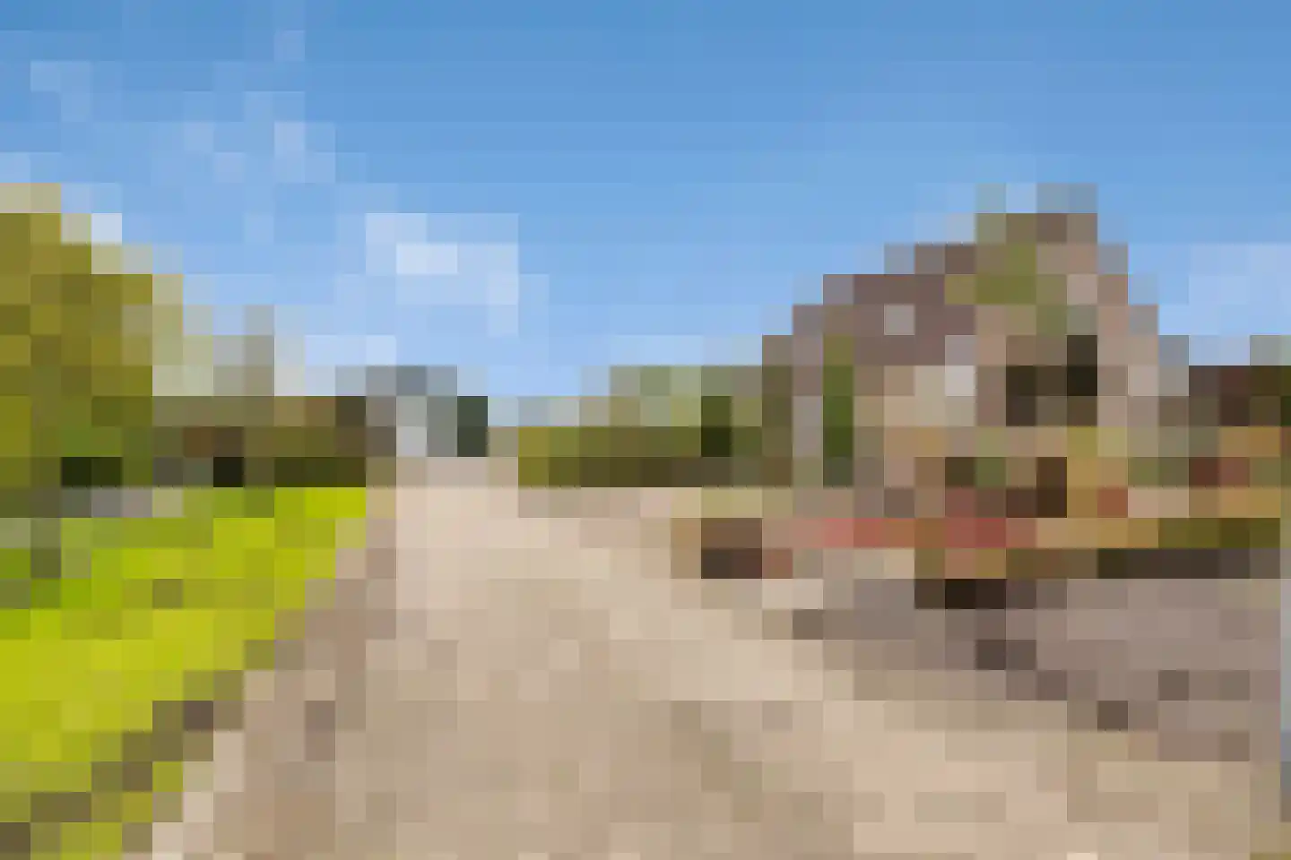 Halve Raak 35 Boskoop thumbnail 38